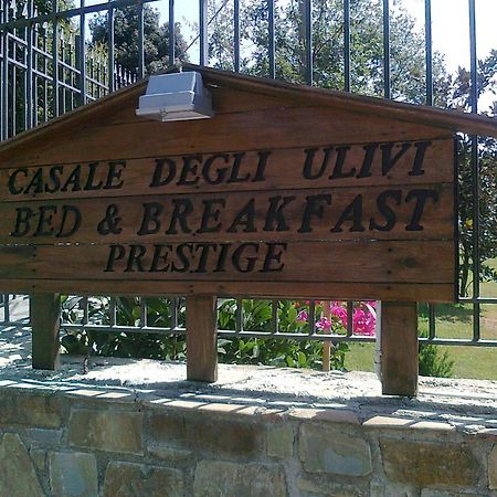 Bed and Breakfast Casale Degli Ulivi Prestige Altavilla Silentina Exterior foto