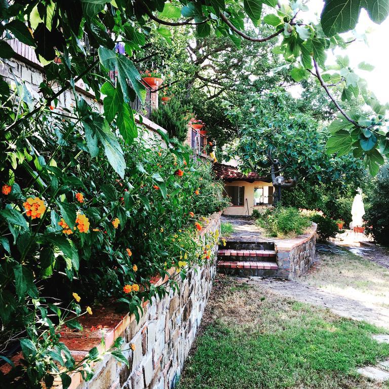 Bed and Breakfast Casale Degli Ulivi Prestige Altavilla Silentina Exterior foto